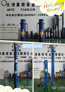 化工厂冷却炉专用潜水泵 高温热介质输送的可靠之选